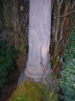 Unterleiterbach 2