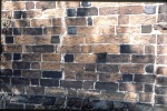 Fischbeck 1