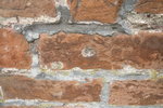 Linum AZ 1