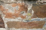 Linum AZ 2