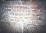 Stralsund 2
